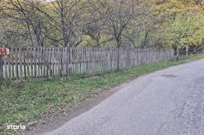 Teren intravilan 600 mp, liziera padurii, Balotesti, Posibilitate casa - 1