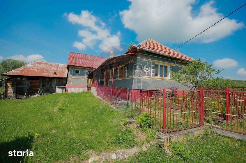 Casă cu 5 camere cu Teren 55706 Mp în Șinteu