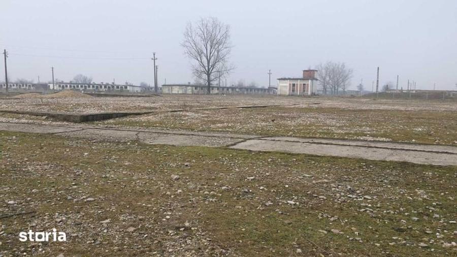 Teren de 15000 mp, în Tinca