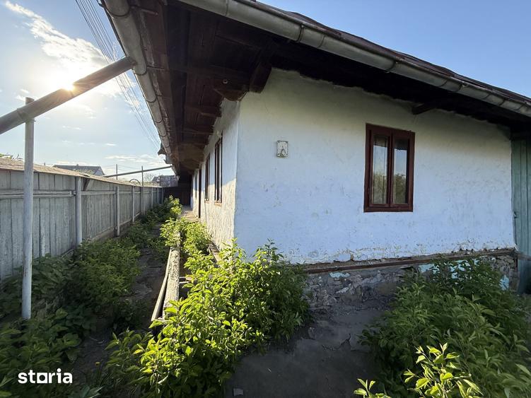 Casă cu 3 camere cu Teren 3200 Mp în Brusturi