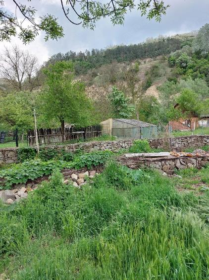 Casă cu 5 camere cu Teren 500 Mp în Petnic