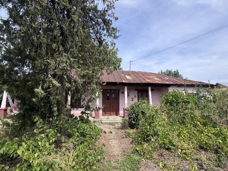 Casă cu 4 camere în Copaciu