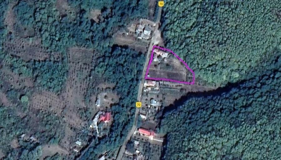 Casă cu Teren 3845 Mp în Leordeni