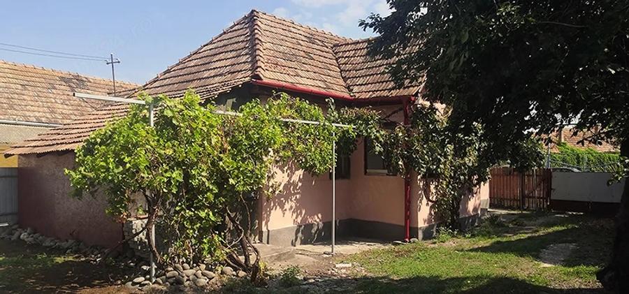 Teren de 12000 mp, în Ierbuș