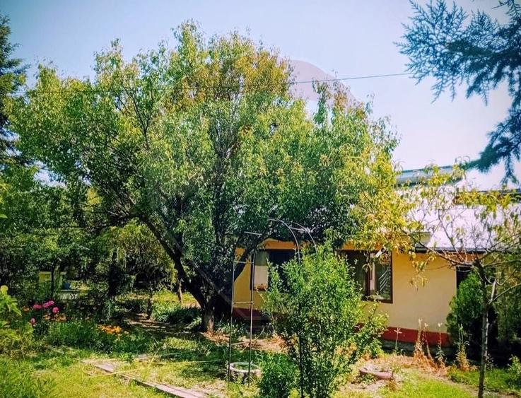 Casă individuală cu 5 camere cu Teren 1129 Mp în Cunești