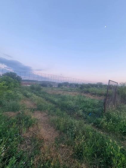 Casă individuală cu 3 camere cu Teren 2000 Mp în Cotu Văii