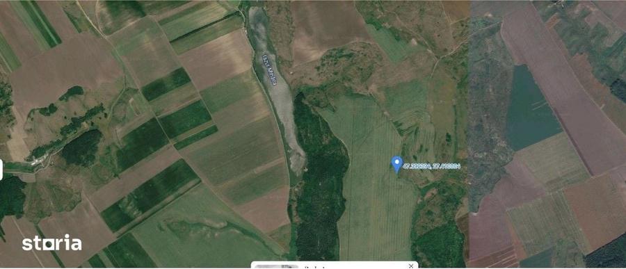Teren de 15900 mp, în Probota