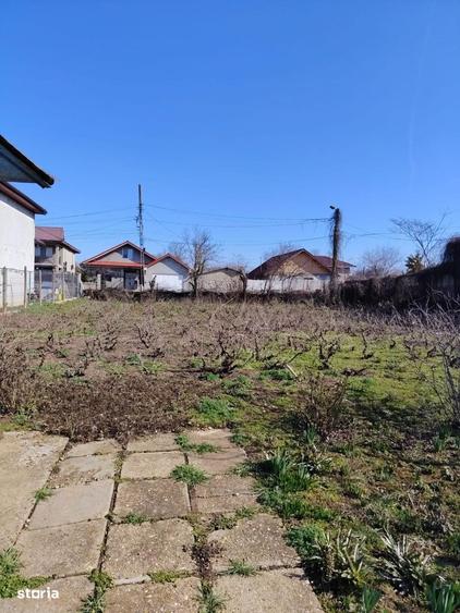 Teren de 1000 mp, în Limanu