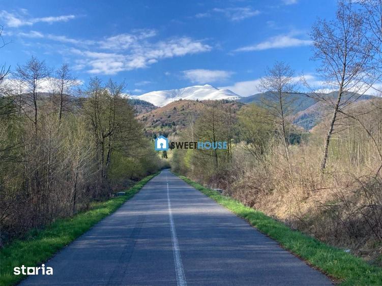 Teren de 2500 mp, în Lisa