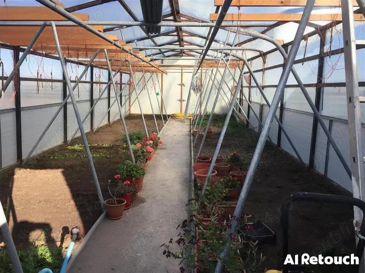 Casă cu 6 camere cu Teren 10000 Mp în Central