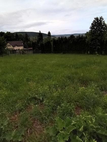 teren extravilan gilau - 2