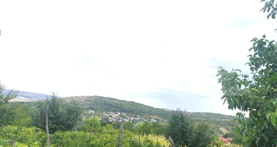 Teren Construcții intravilan de 8841 mp, în Uricani
