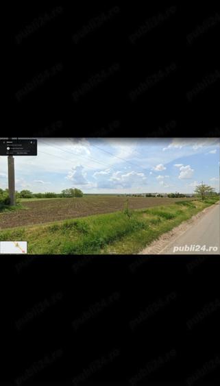 Teren de 6000 mp, în Panaci