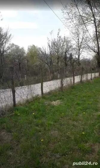 Teren de 561 mp, în Turcheș