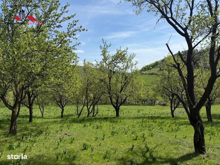 Spațiu comercial, în Valea Vințului