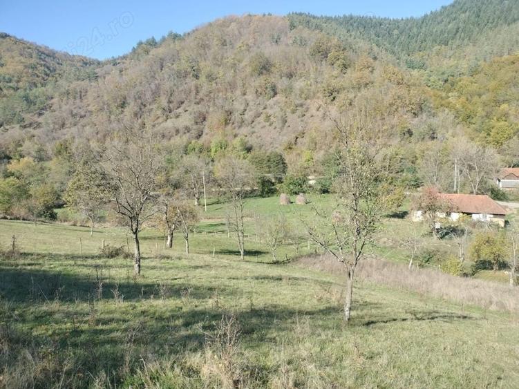 Teren de 2286 mp, în Vața de Sus