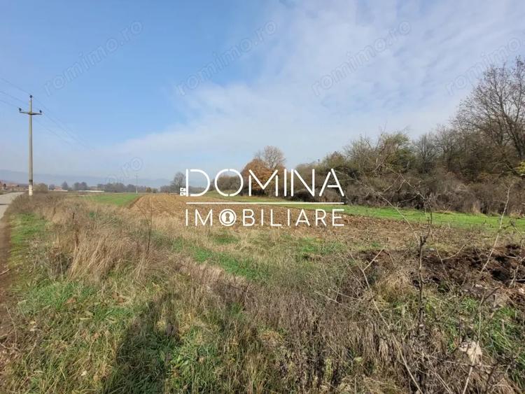 Teren de 1654 mp, în Ursați