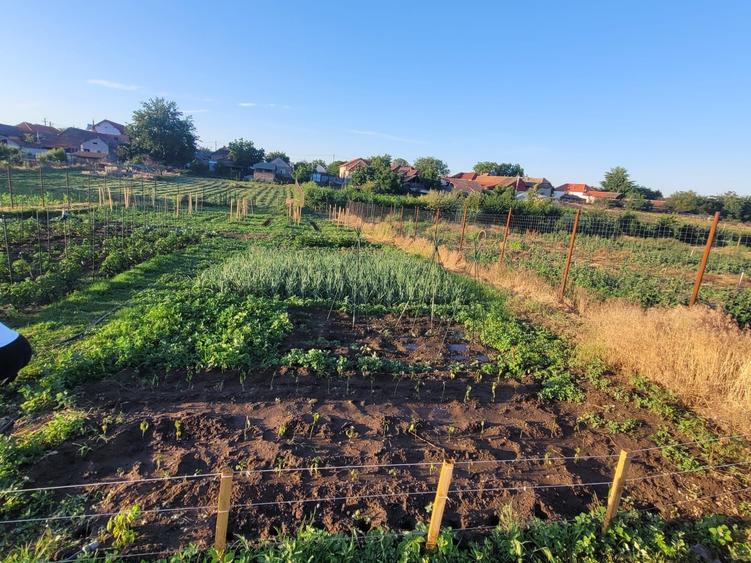 Casă cu 4 camere în Poiana Mare