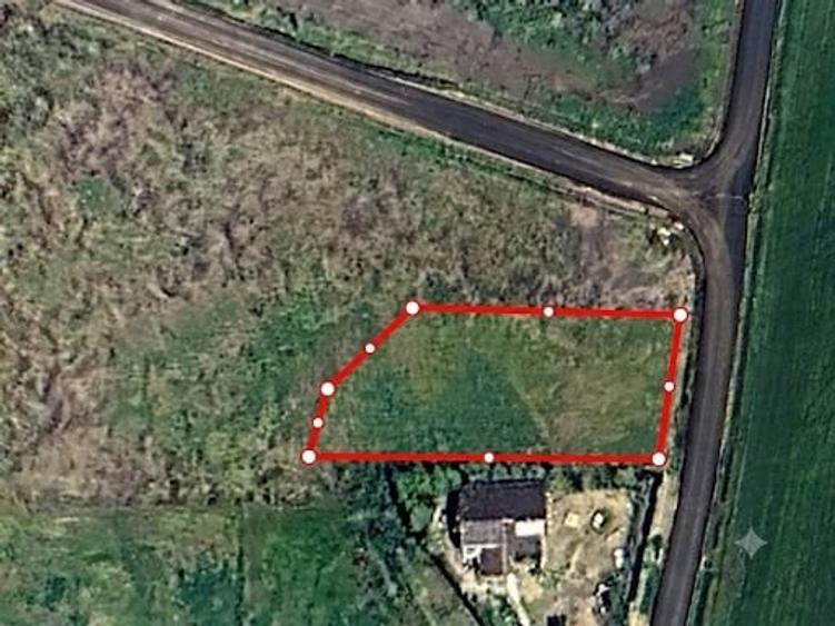 Teren Construcții intravilan de 980 mp, în Ciolpani