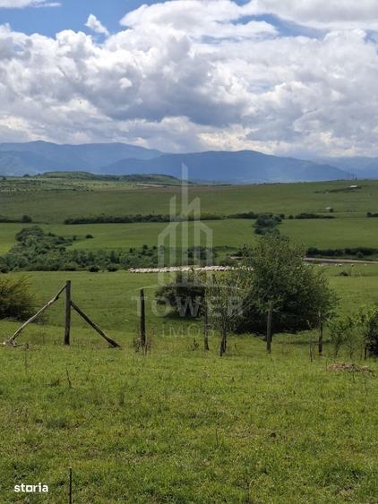 Spațiu comercial, în Daia