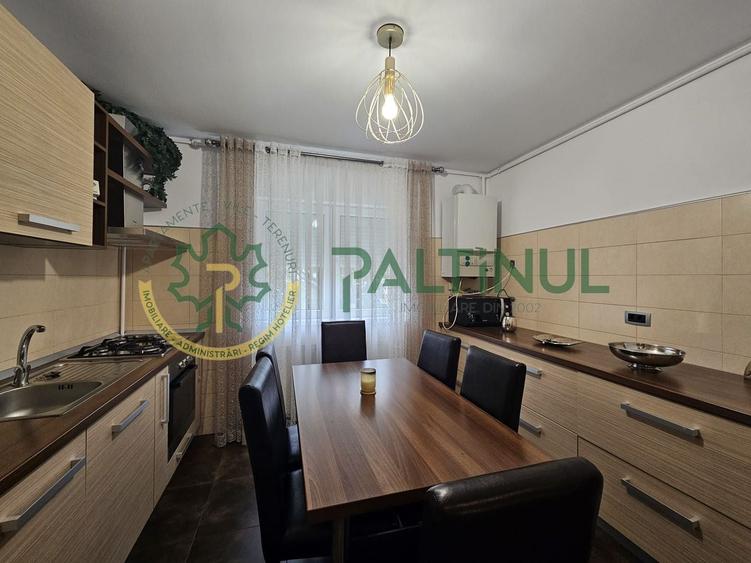 Apartament cu 2 camere decomandat, mobilat în Terezian