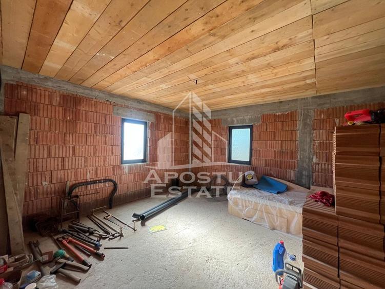 Teren Construcții intravilan de 16000 mp, în Belinț