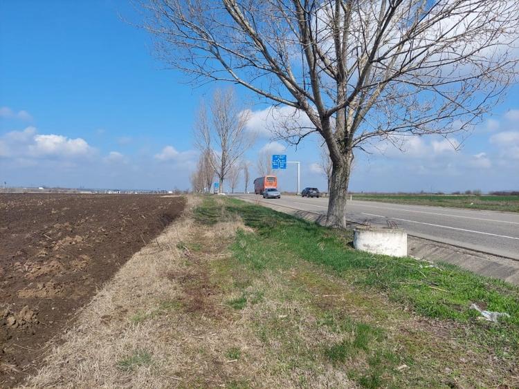 Teren agricol extravilan de 3618 mp, în Bogdan Vodă