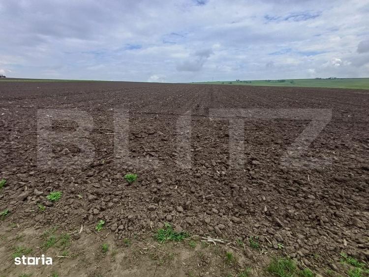 Teren de 3256 mp, în Bosanci