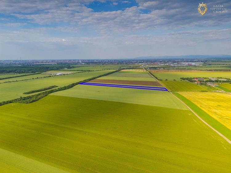 Teren agricol extravilan de 44900 mp, în Aradul Nou