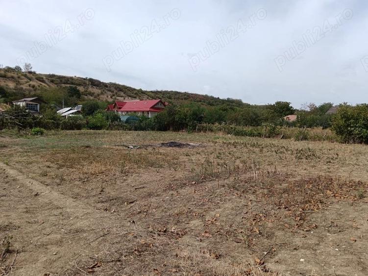 Casă cu 3 camere cu Teren 3075 Mp în Balș