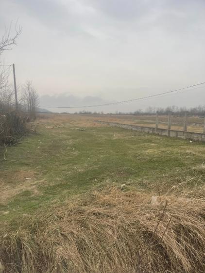 Teren Construcții intravilan de 5700 mp, în Satu Nou (Lipănești)