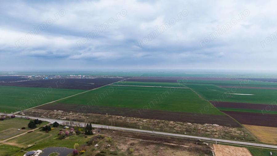 Teren de 41800 mp, în Vladimirescu