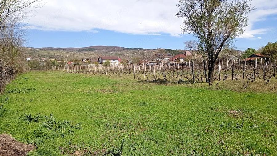 Teren Intravilan - Loc de Casa - 5