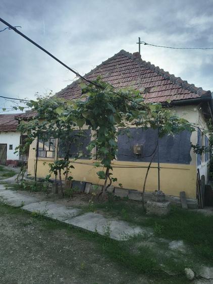 Casă cu 3 camere în Var