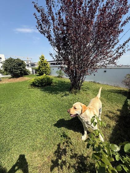Garsonieră cu TERASĂ 50 mp LA ETAJUL 7 - Iuliu Maniu - EnVogue Residence - 6