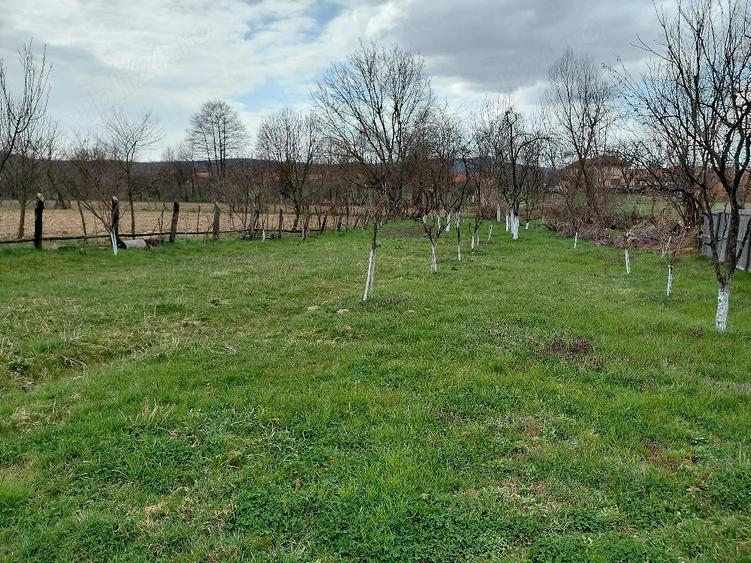 Casă cu 3 camere cu Teren 2158 Mp în Fârdea