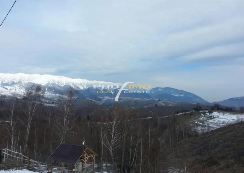 Moeciu, Drumul Carului, teren 3750 mp, 75000 euro - 3
