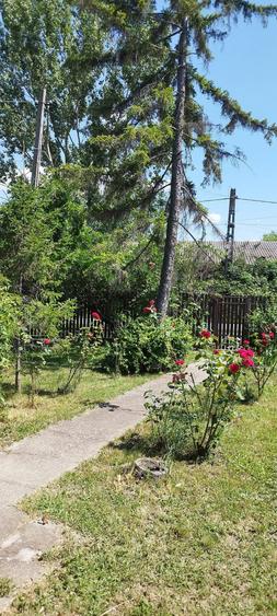 Casă cu 4 camere cu Teren 1400 Mp în Cerșani