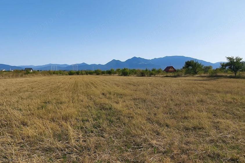 Teren intravilan de vanzare in Sanpetru 500 mp, utilita?i ?i case in apropiere - 2