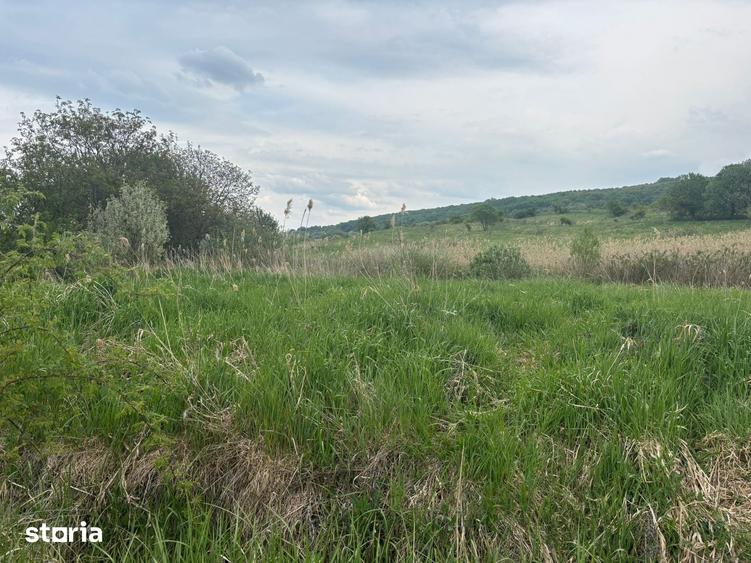 Teren de 1400 mp, în Feleacu