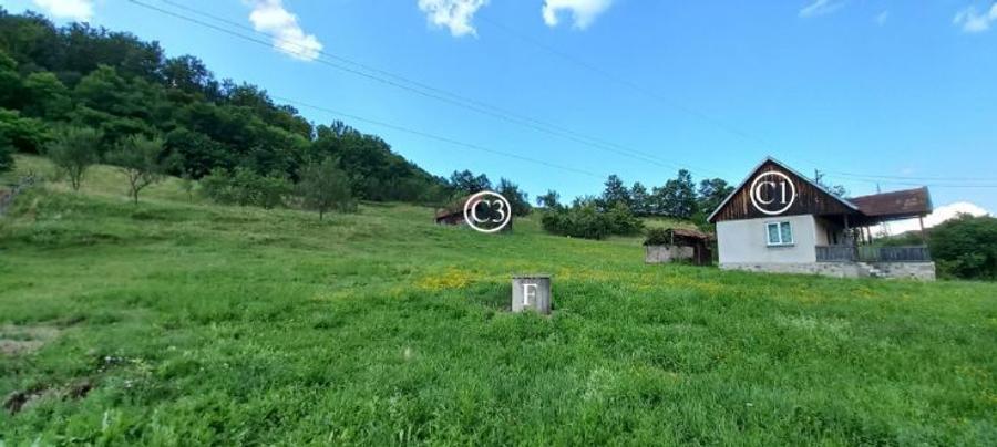 Teren agricol intravilan de 8644 mp, în Valea Bradului