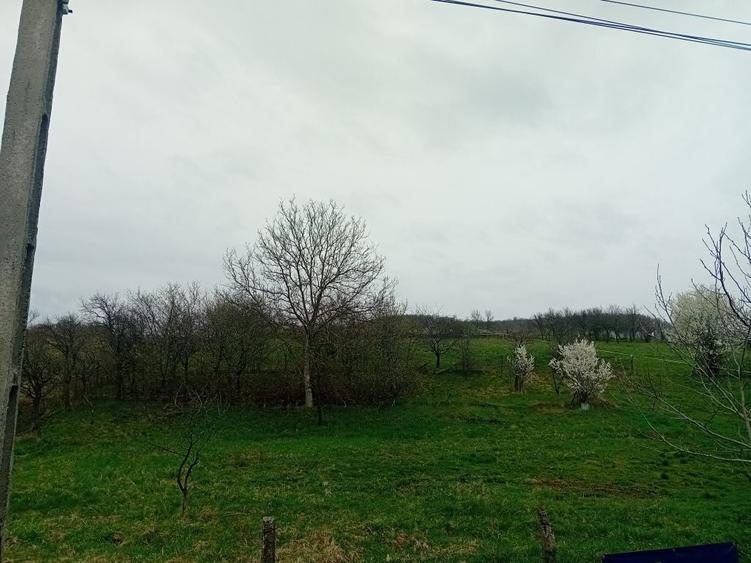 Spațiu comercial, în Coldău