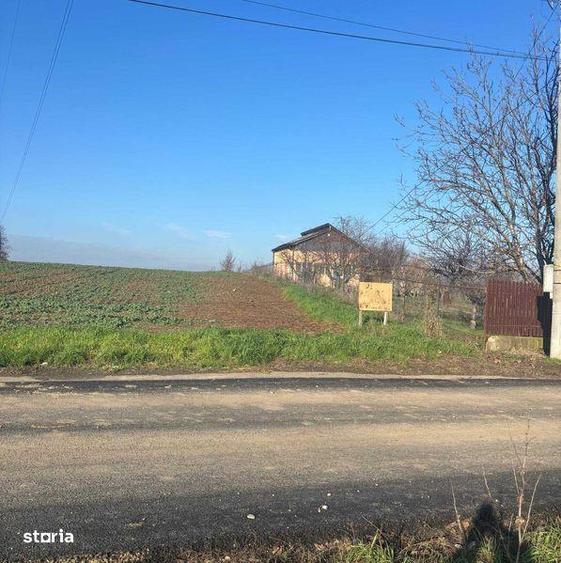 Teren de 5000 mp, în Glina
