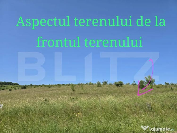 Teren de 1200 mp, în Sălicea