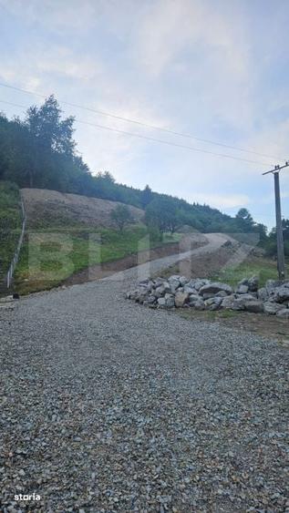 Teren de vanzare, 10.000 mp - Bistrita Bargaului, zona turistica - 1