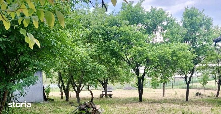 Casă cu 3 camere cu Teren 800 Mp în Apahida