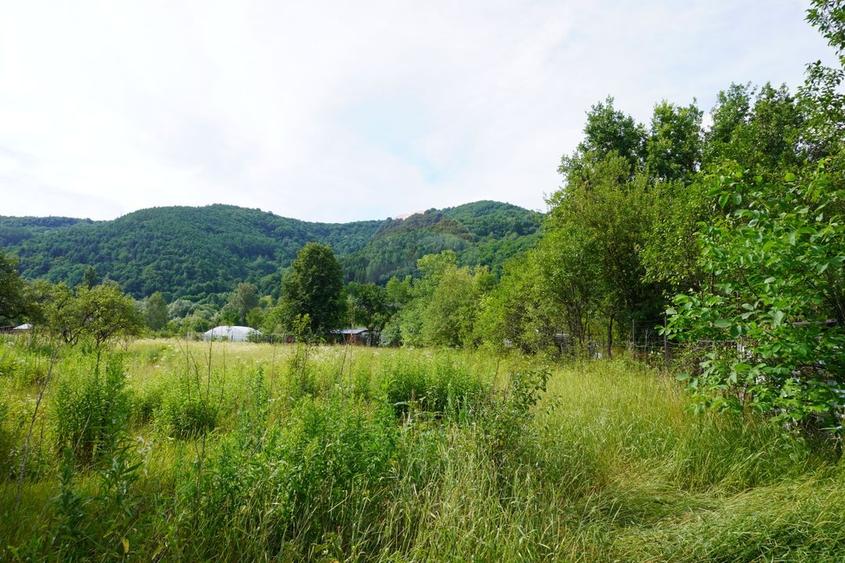 Teren Construcții intravilan de 2785 mp, în Central