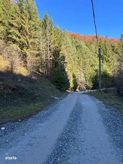 Teren de 2882 mp, în Dâmbovicioara