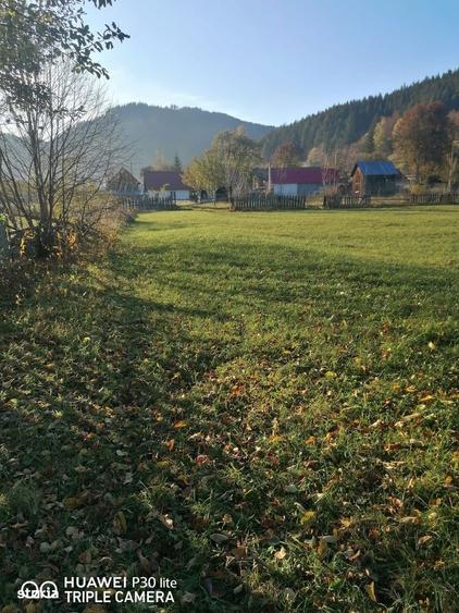 Teren de 3200 mp, în Sadova