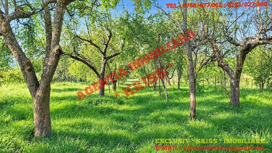 CASA Balile?ti P+M Teren 4000 Mp. 25 M Deschidere Utilita?i Stradala 6 Camere Mobilata Libera 26 Km - 17
